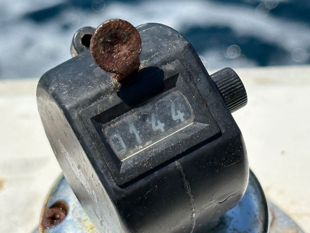 P.kobaさんの釣果 3枚目の画像