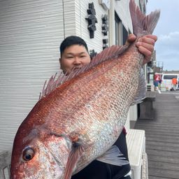 マダイ