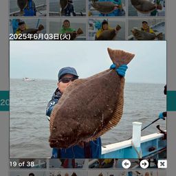 ヒラメ