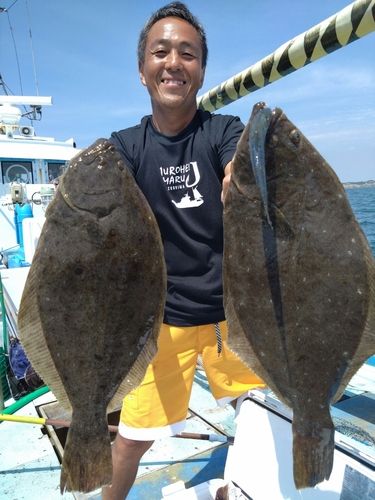 ヒラメの釣果