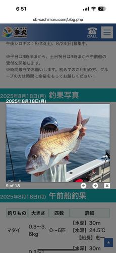 マダイの釣果