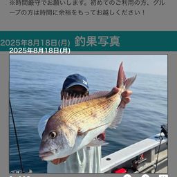 マダイ