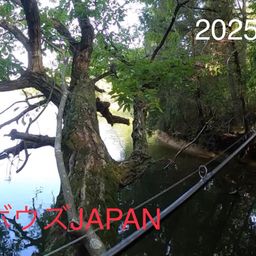 ブラックバス