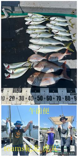 タイの釣果