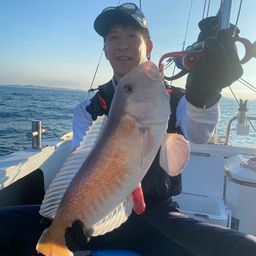 アマダイ