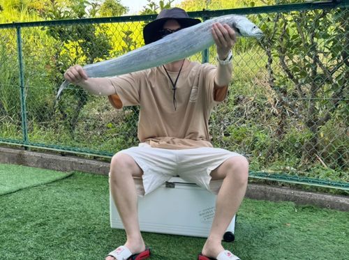 タチウオの釣果