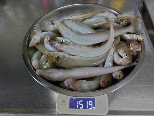 釣果