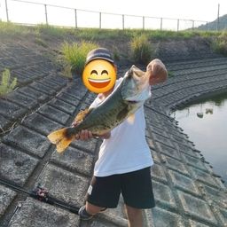 ブラックバス