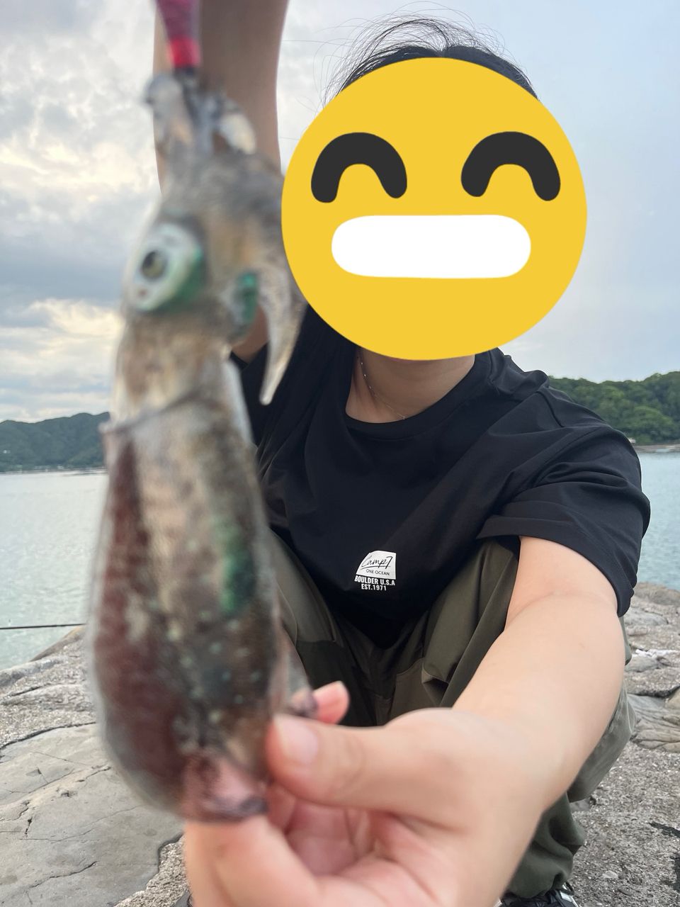 アオリイカ
