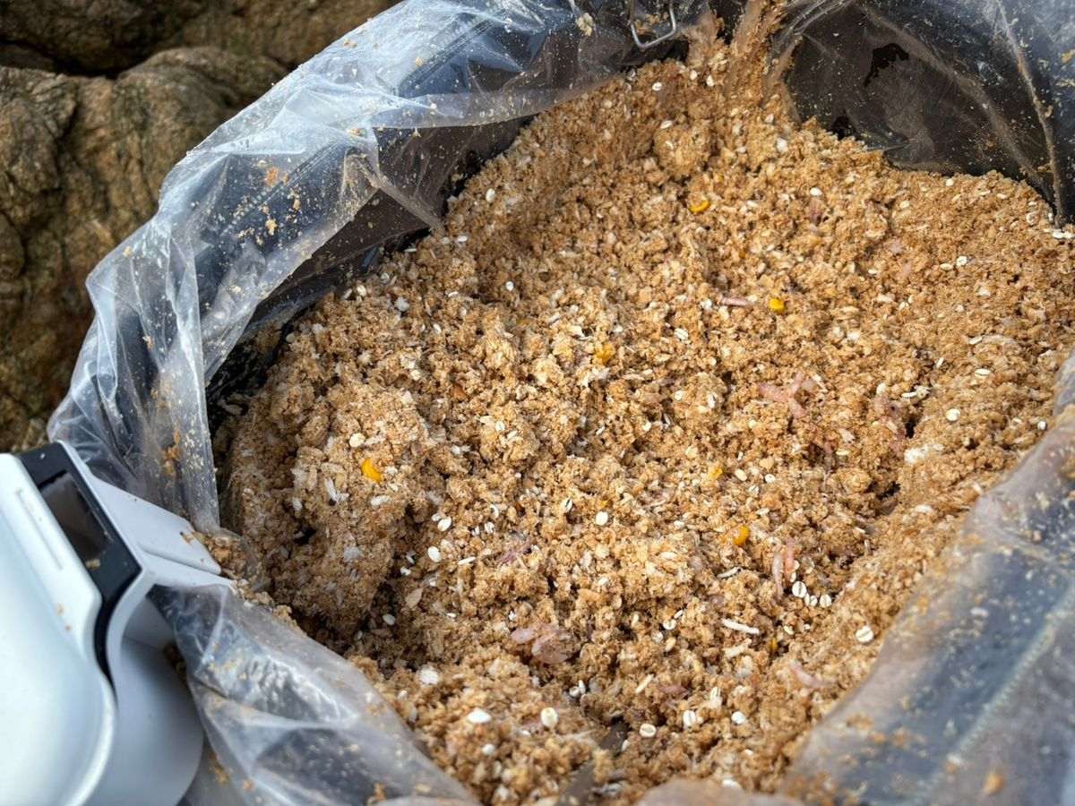 前チンさんの釣果 2枚目の画像