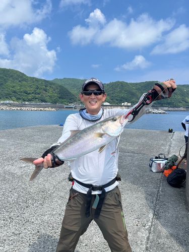 シオの釣果