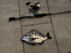 釣果