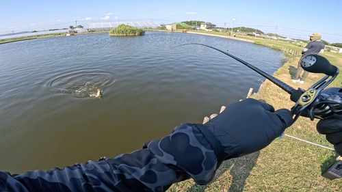 コロソマの釣果