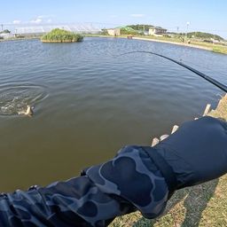 コロソマ