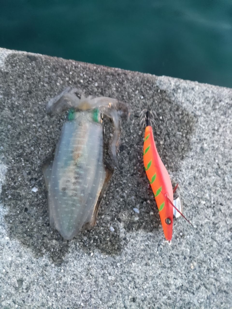 イカ