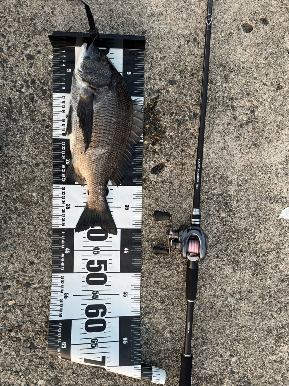 SHIMANO 19ハードロッカー BB B72H+の最安値・インプレ・釣果 | 本音の