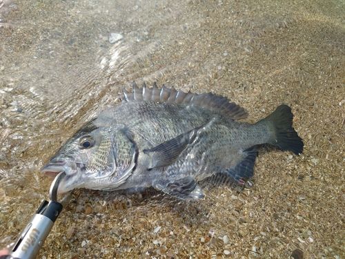 内海湾
