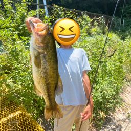 ラージマウスバス