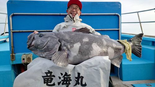 アブラボウズの釣果