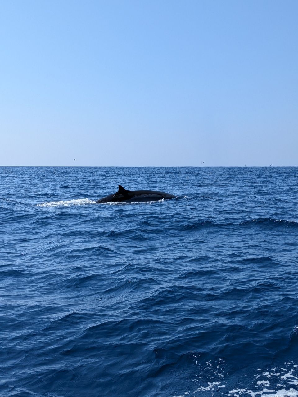 釣りする方のたかしーさんの釣果 2枚目の画像