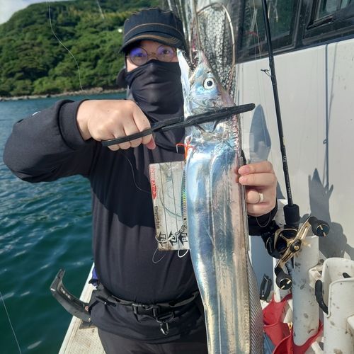 タチウオの釣果