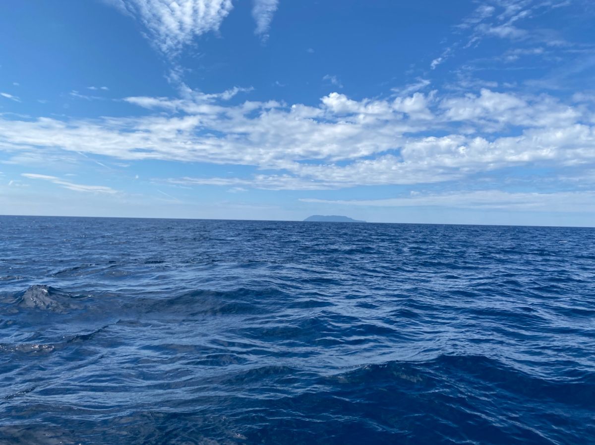 ちぬだんごさんの釣果 2枚目の画像