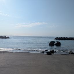 シロギス