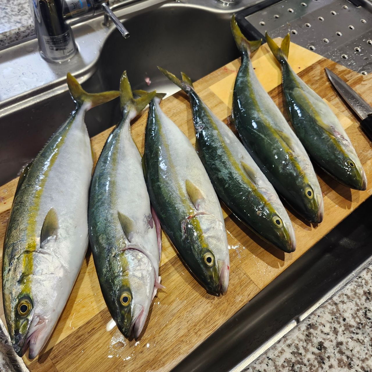 イナダ