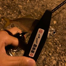 アジ