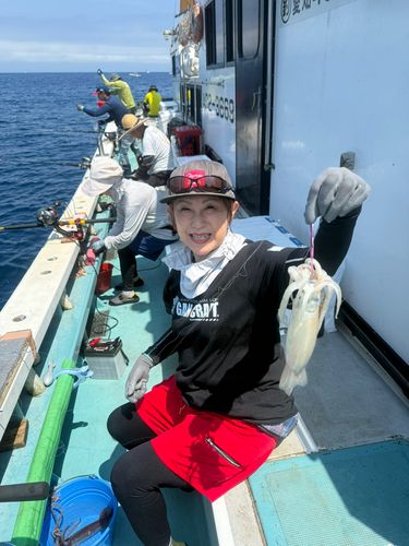 スルメイカの釣果