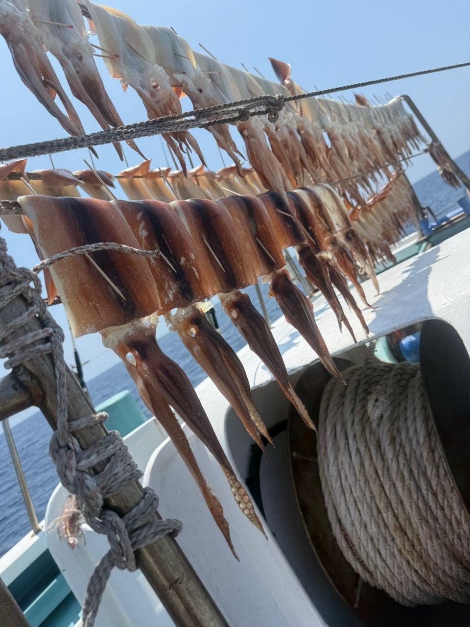 Aki Dさんの釣果 2枚目の画像