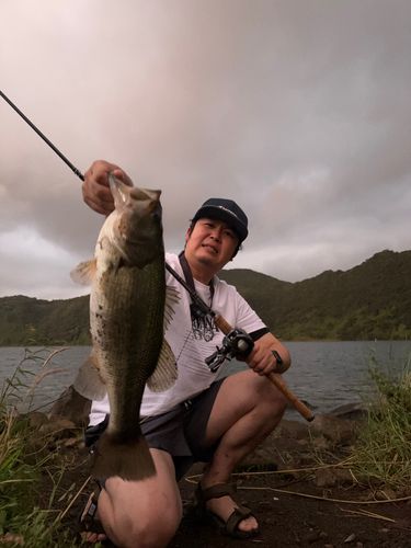 釣果