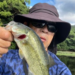 ブラックバス