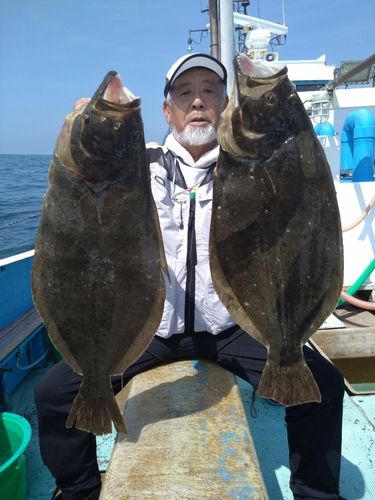 ヒラメの釣果