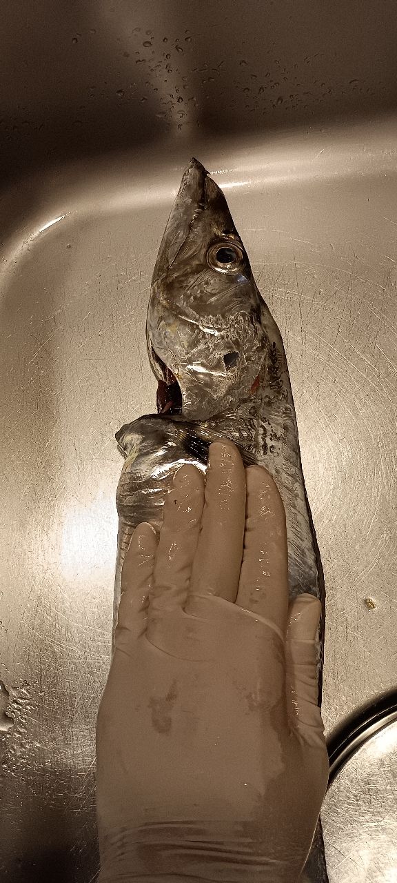 7割坊主さんの釣果 3枚目の画像