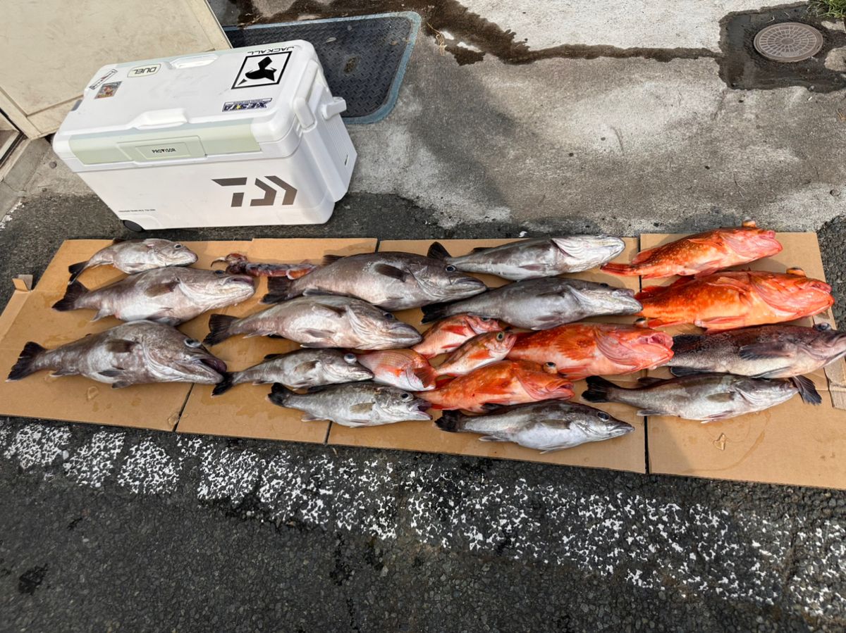 いかおとこさんの釣果 2枚目の画像