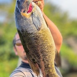 スモールマウスバス