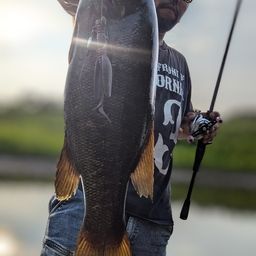 スモールマウスバス