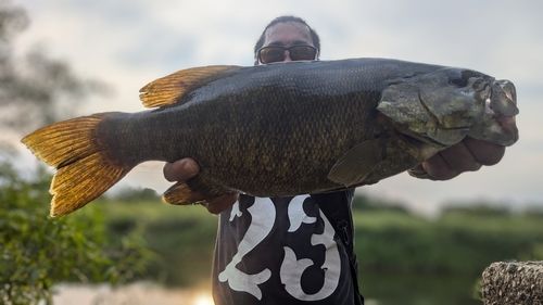 スモールマウスバスの釣果