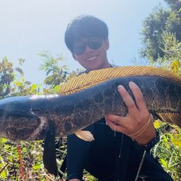 ナマズ