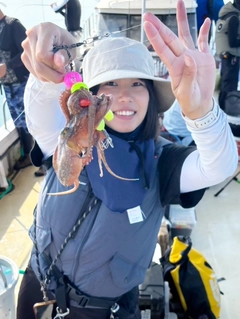 タコの釣果