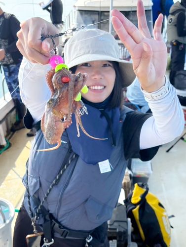 タコの釣果