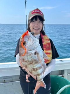 タイの釣果