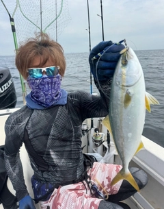ワカシの釣果