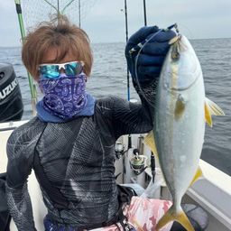 ワカシ