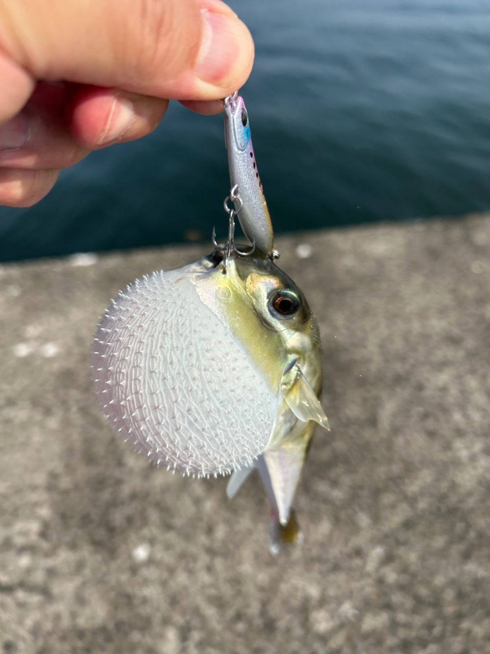 bob9さんの釣果 2枚目の画像