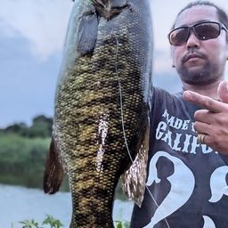 スモールマウスバス