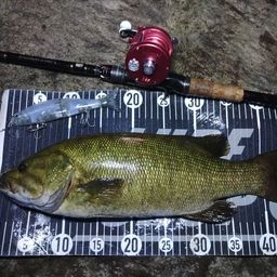 スモールマウスバス