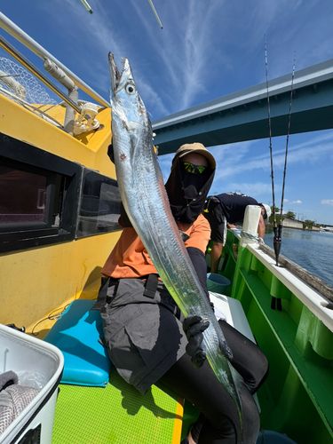 タチウオの釣果