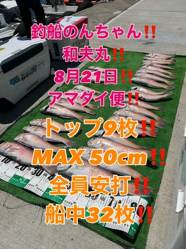 シロアマダイの釣果